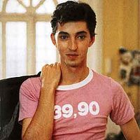 Bilder Adrien de Van