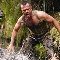 Bilder David Millbern