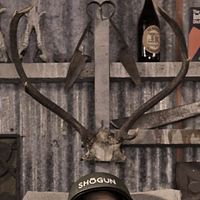 Bilder James Rolleston