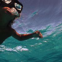 Bilder Natan Machado Palombini