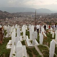 Bilder Reinout Bussemaker