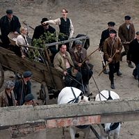 Bilder Wolf Bachofner