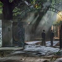 Bilder Joseph Morgan