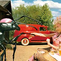 Bilder Penny Balfour