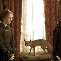 Bilder Silvia Alonso