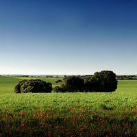 Bilder Jose Luis Peñafuerte