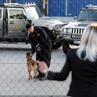 Bilder Tatiana Vilhelmová