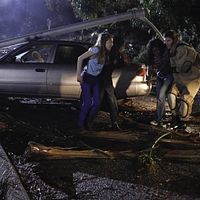 Bilder Juliette Goglia