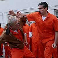 Bilder Terry Serpico