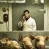 Bilder Dominic Philie