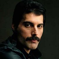 Bilder Freddie Mercury