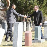 Bilder Kiko Ellsworth