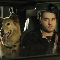 Bilder Chase Williamson