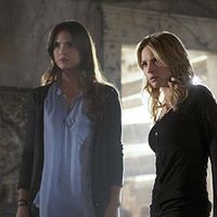 Bilder Shelley Hennig