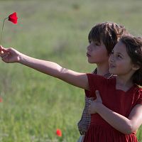 Bilder Lindsey Henocque