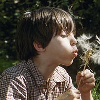 Bilder Simon Delagnes