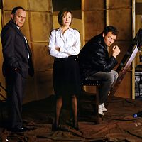 Bilder Matthew Marsh