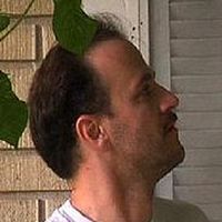 Bilder David Zellner