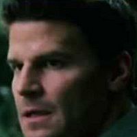 Bilder Brennan Taylor