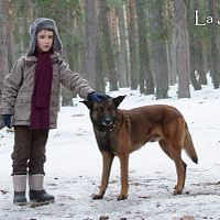 Bilder Ricardo Trénor