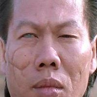Bilder Bolo Yeung