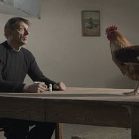 Bilder Peter Van den Begin