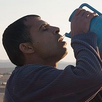 Bilder Adnan Abu Wadi