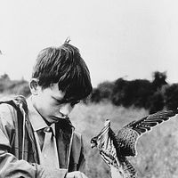 Bilder David Bradley (II)