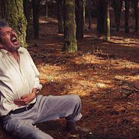 Bilder Antonio Dechent