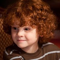 Bilder Kyle Harrison Breitkopf