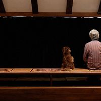 Bilder Kambuzia Partovi