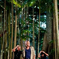 Bilder Sebastian Gregory