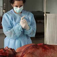 Bilder Manal El-Feitury