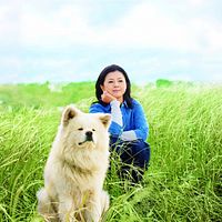 Bilder Hiroko Yakushimaru