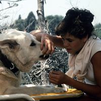 Bilder Kristy McNichol