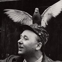 Bilder Vladimir Valenta