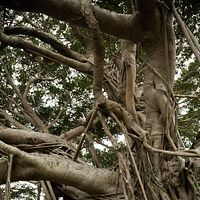 Bilder Nijirô Murakami