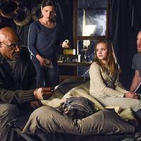 Bilder Katie McClellan