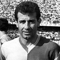 Bilder Metin Oktay