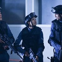 Bilder Kim Engelbrecht