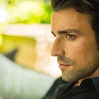 Bilder Gray Orsatelli