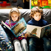 Bilder Sacha Guerreiro