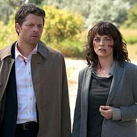 Bilder Erica Carroll