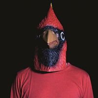 Bilder Oliver Sechting