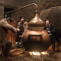 Bilder Miguel de Lira