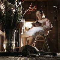 Bilder Bertha Naranjo