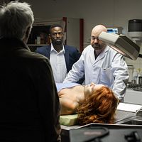 Bilder Arnaud Churin