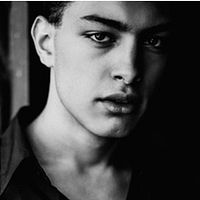 Bilder Toto Dumitrescu