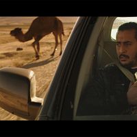 Bilder Mourade Zeguendi