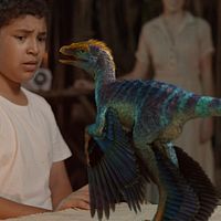 Bilder Darius Williams